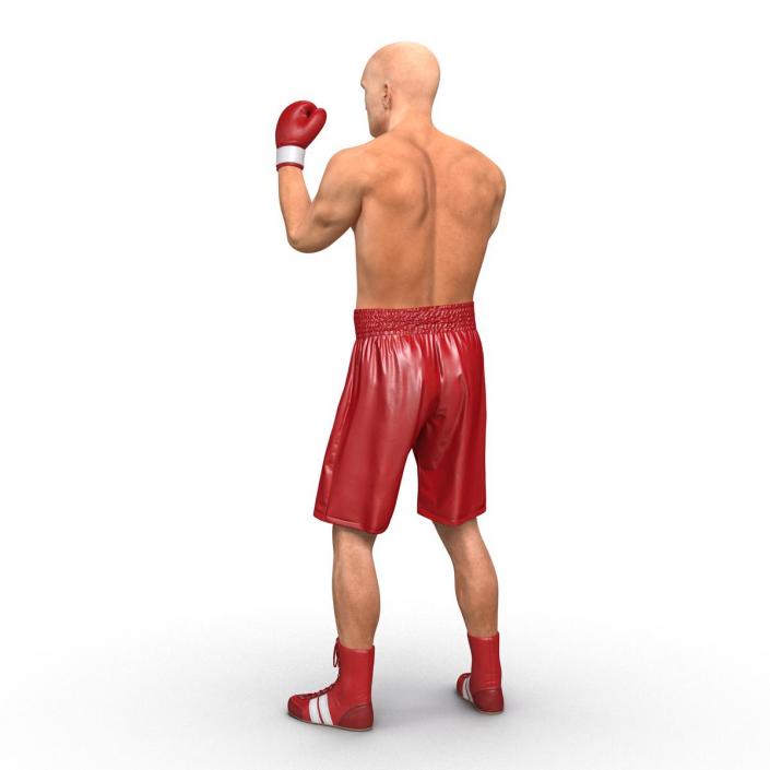 3D Boxer Man Pose 2