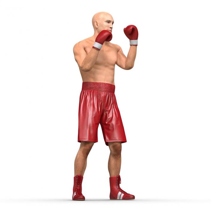 3D Boxer Man Pose 2