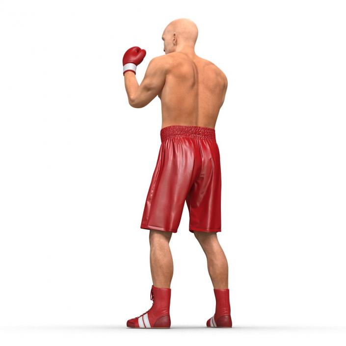 3D Boxer Man Pose 2