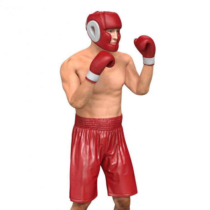 3D Boxer Man Pose 2