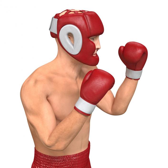 3D Boxer Man Pose 2