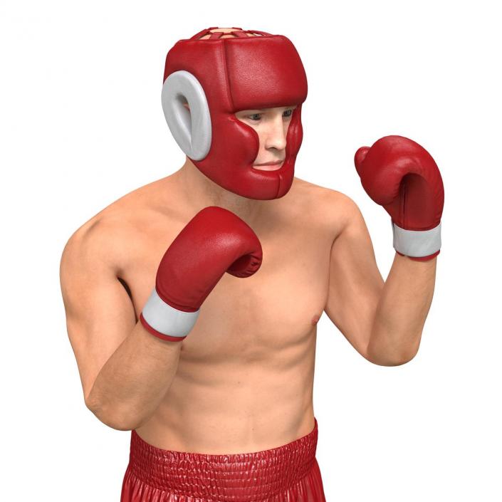 3D Boxer Man Pose 2