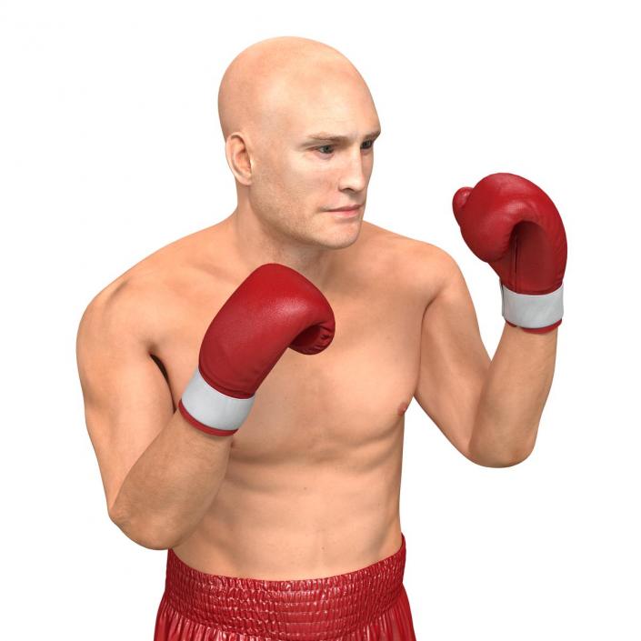 3D Boxer Man Pose 2