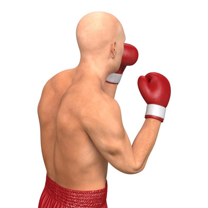 3D Boxer Man Pose 2