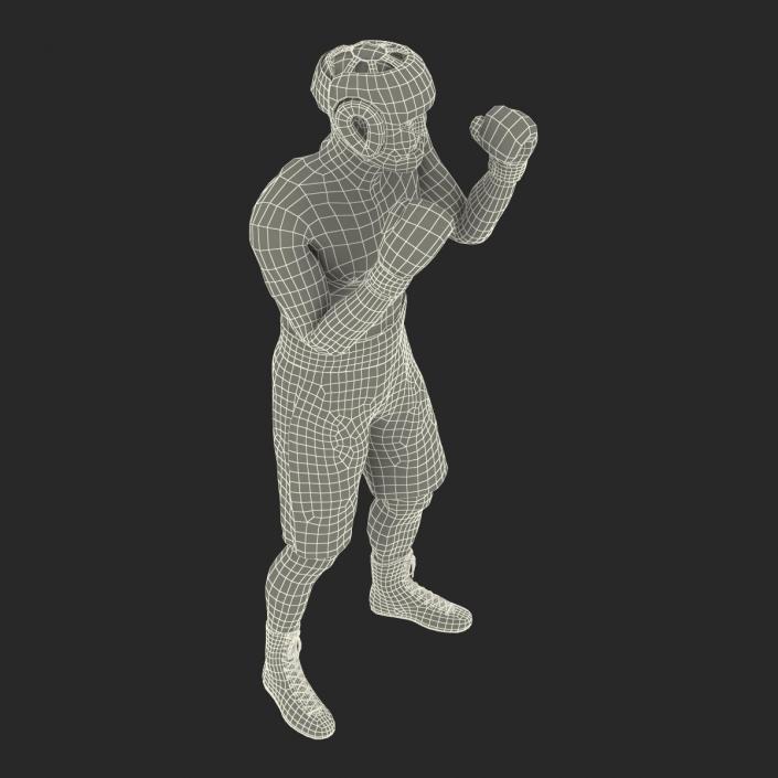 3D Boxer Man Pose 2