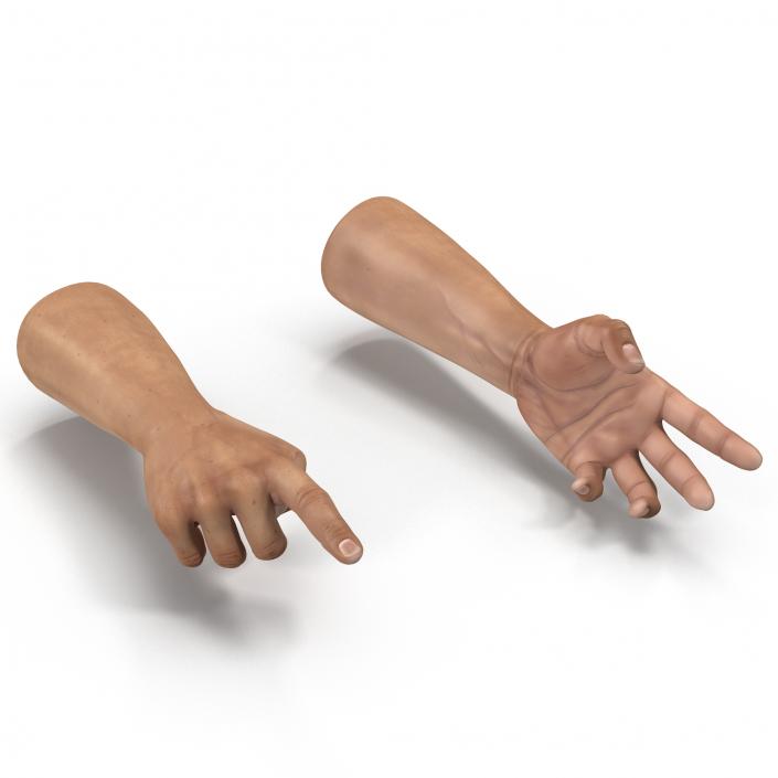 3D Man Hands Rigged