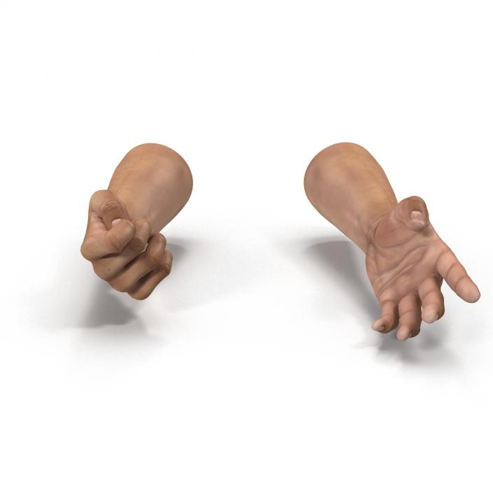 3D Man Hands Rigged