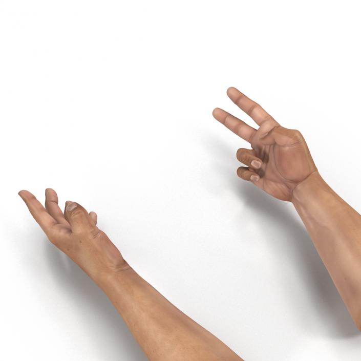 3D Man Hands Rigged