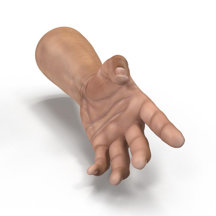 3D Man Hands Rigged