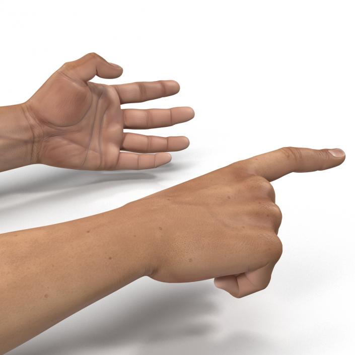 3D Man Hands Rigged