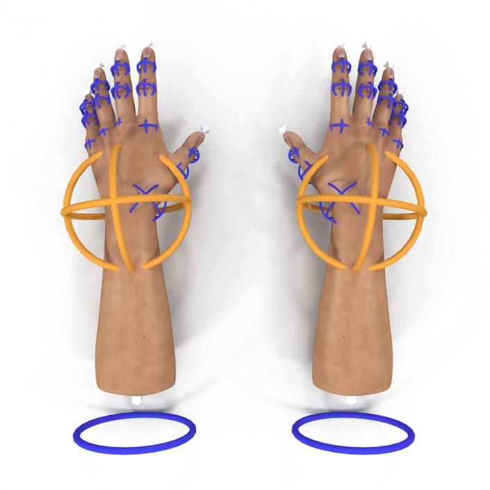 3D Man Hands Rigged