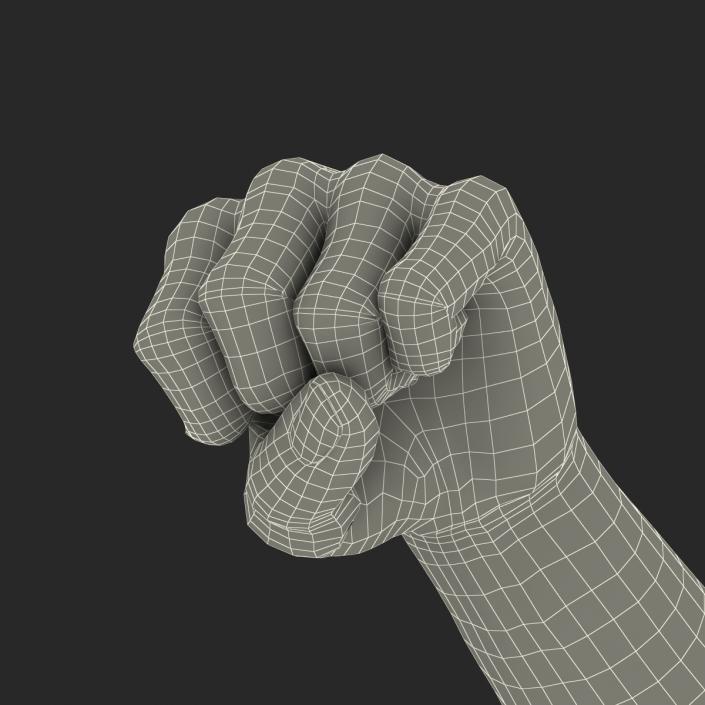 3D Man Hands Rigged