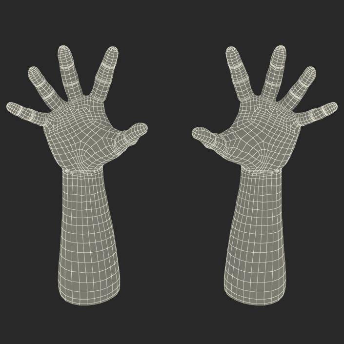 3D Man Hands Rigged