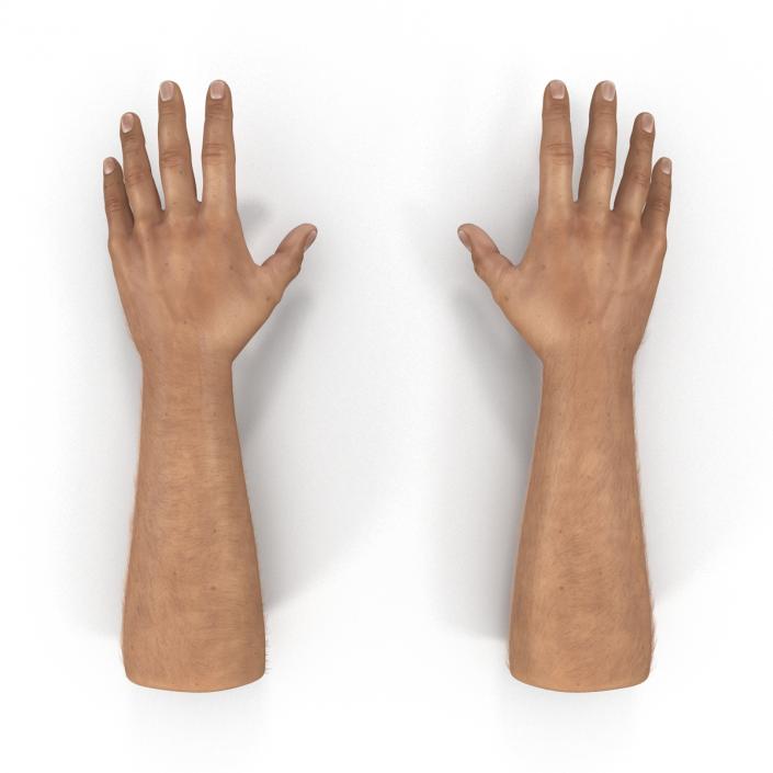 3D model Man Hands with Fur Rigged