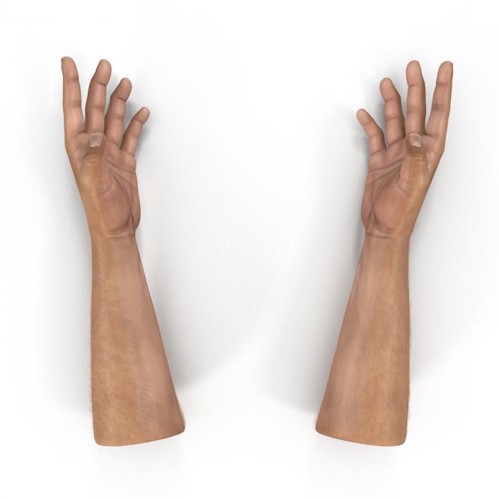 3D model Man Hands with Fur Rigged