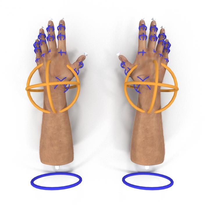 3D model Man Hands with Fur Rigged