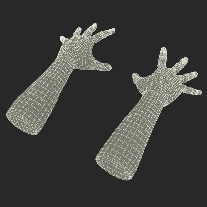 3D model Man Hands with Fur Rigged