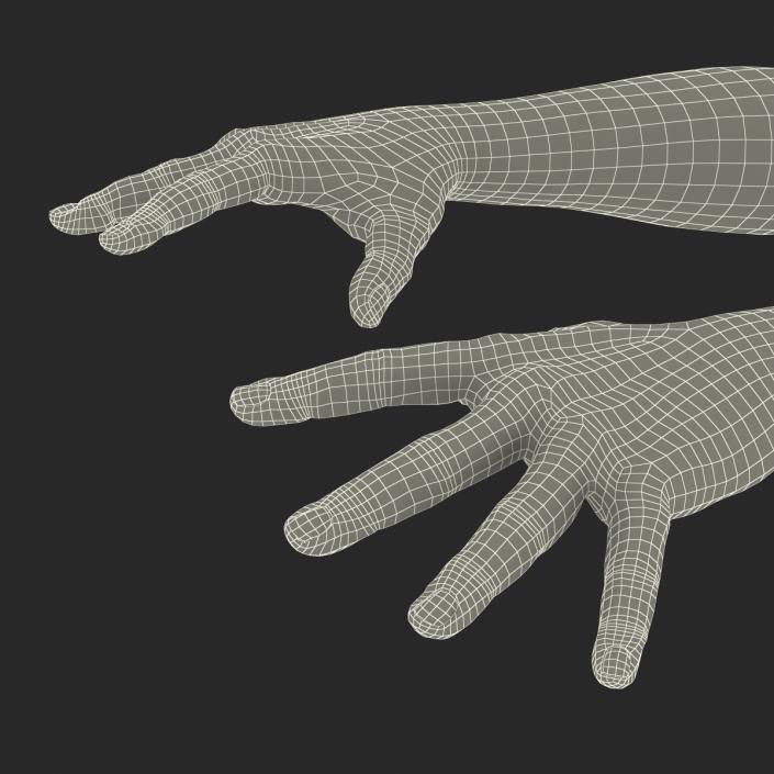 3D model Man Hands with Fur Rigged