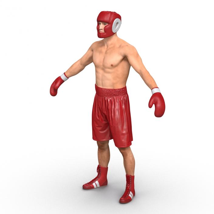 Boxer Man 3D model