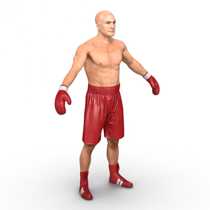 Boxer Man 3D model