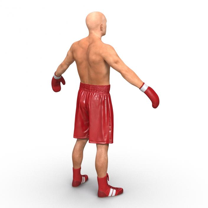 Boxer Man 3D model