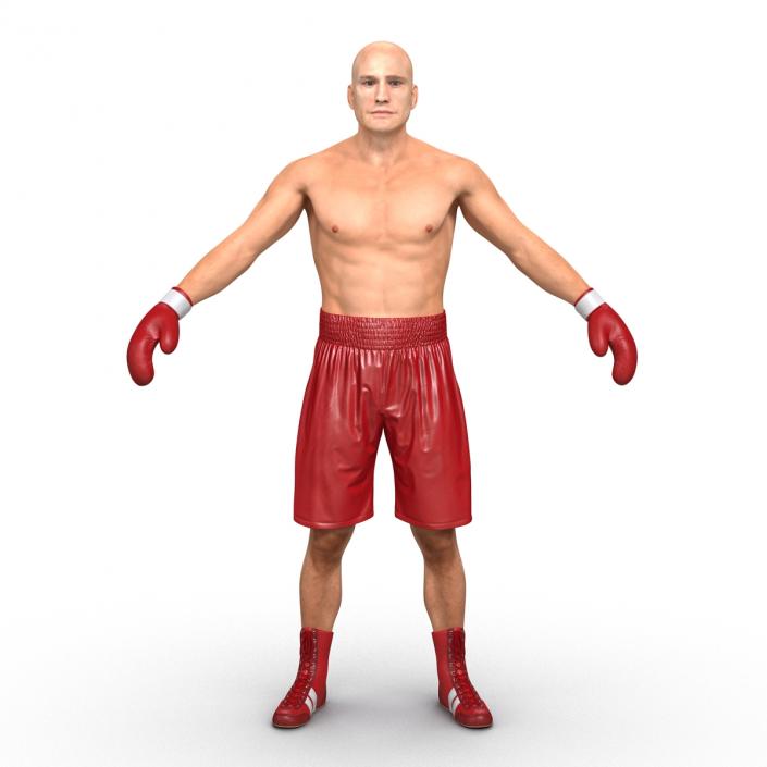 Boxer Man 3D model