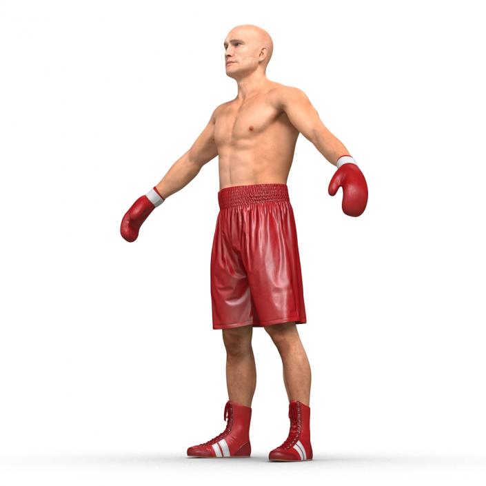 Boxer Man 3D model