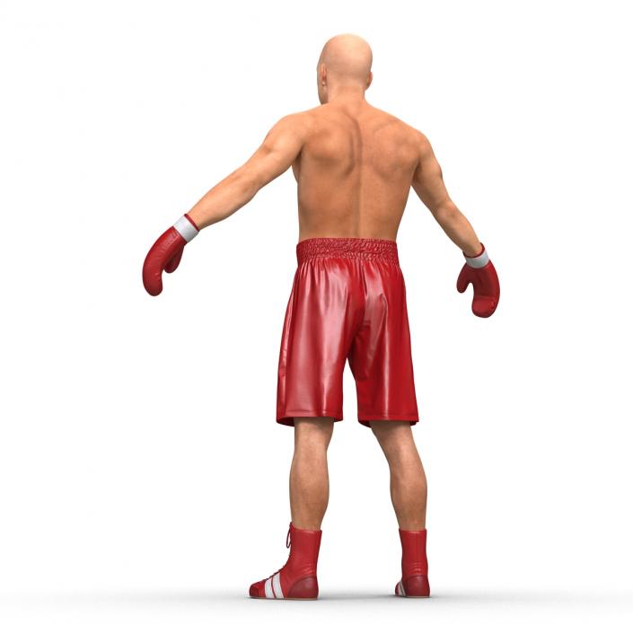 Boxer Man 3D model