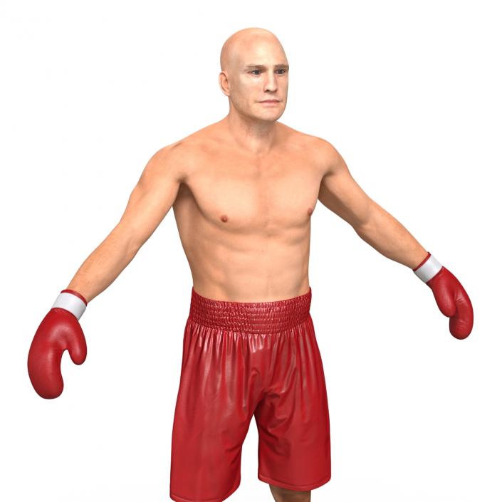 Boxer Man 3D model