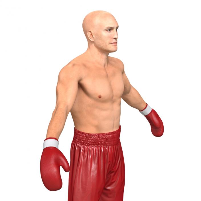 Boxer Man 3D model