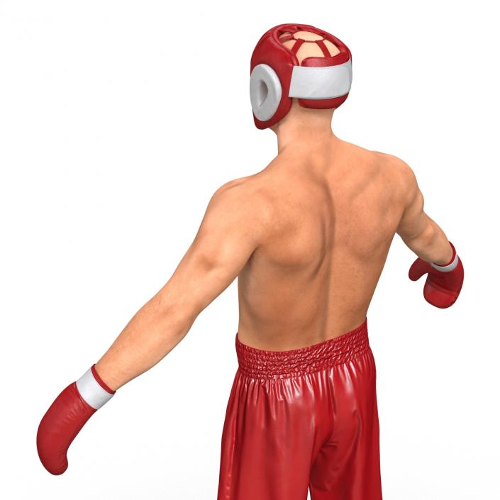 Boxer Man 3D model