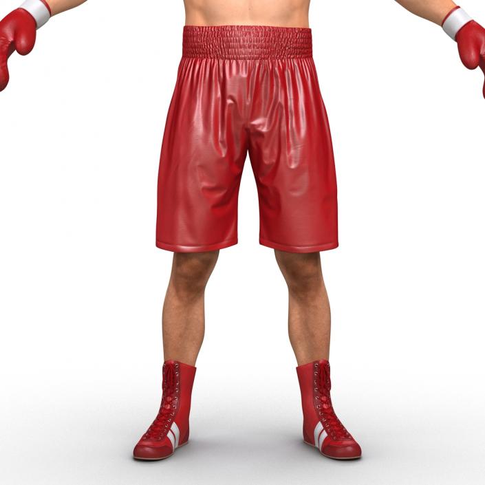 Boxer Man 3D model