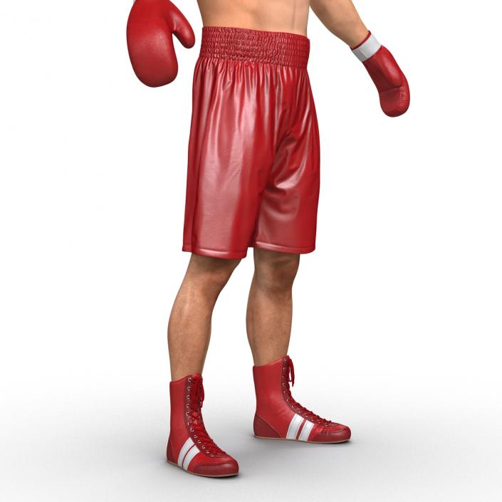 Boxer Man 3D model