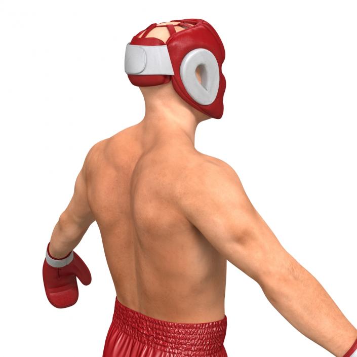 Boxer Man 3D model