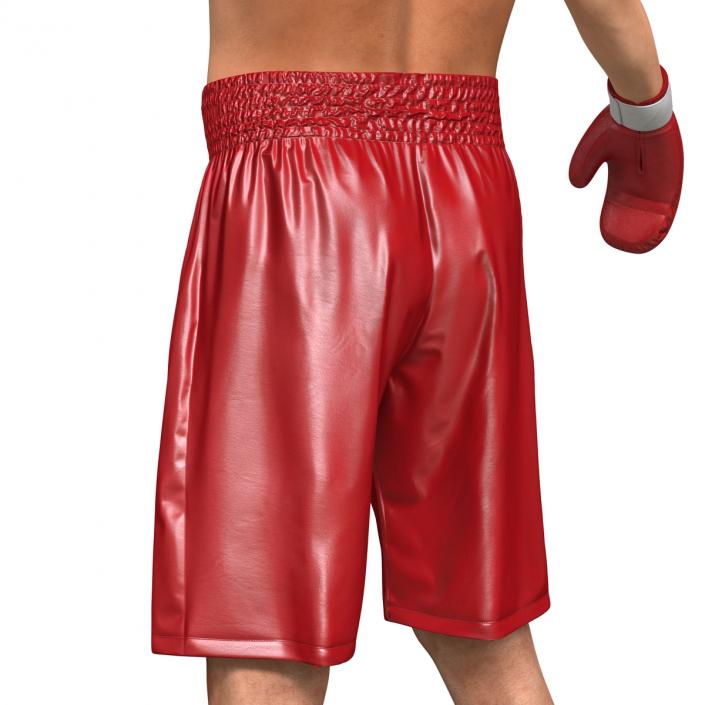 Boxer Man 3D model