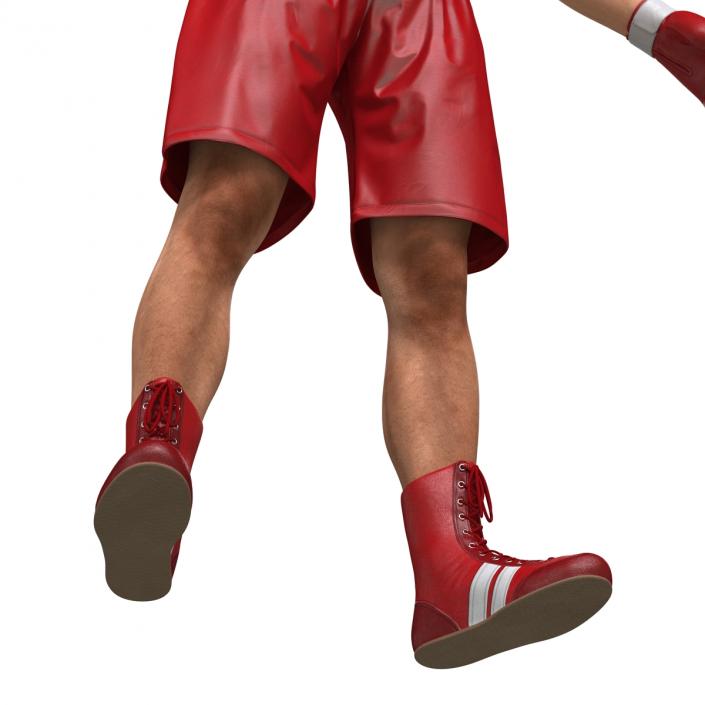 Boxer Man 3D model