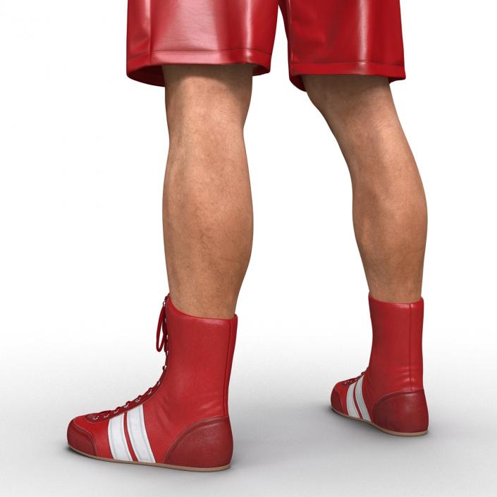 Boxer Man 3D model