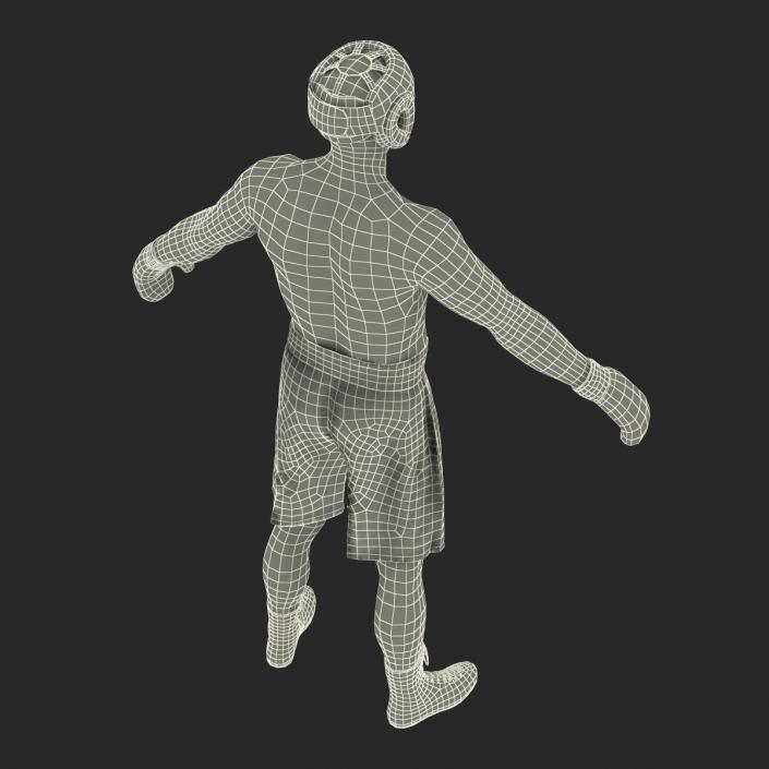 Boxer Man 3D model