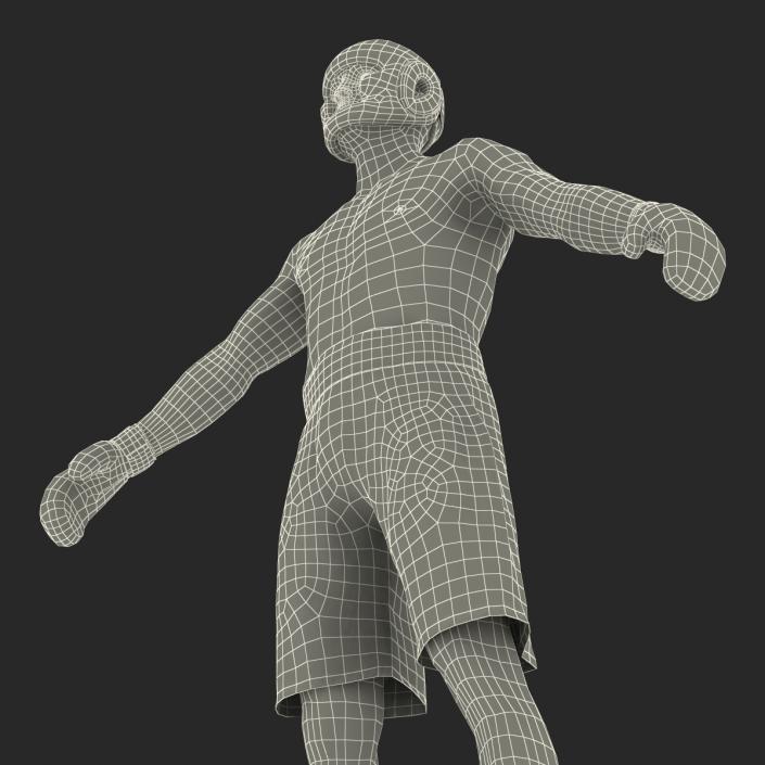 Boxer Man 3D model