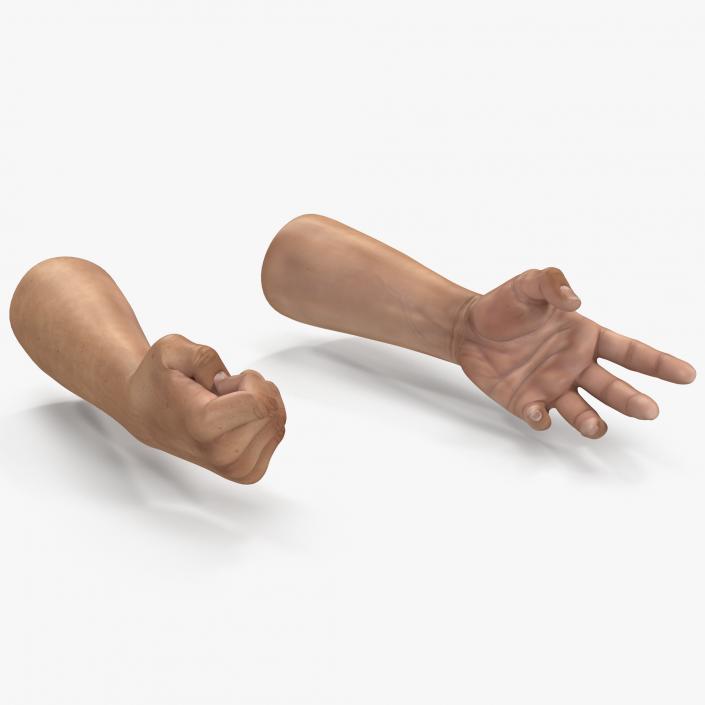 3D Rigged Hands Collection model