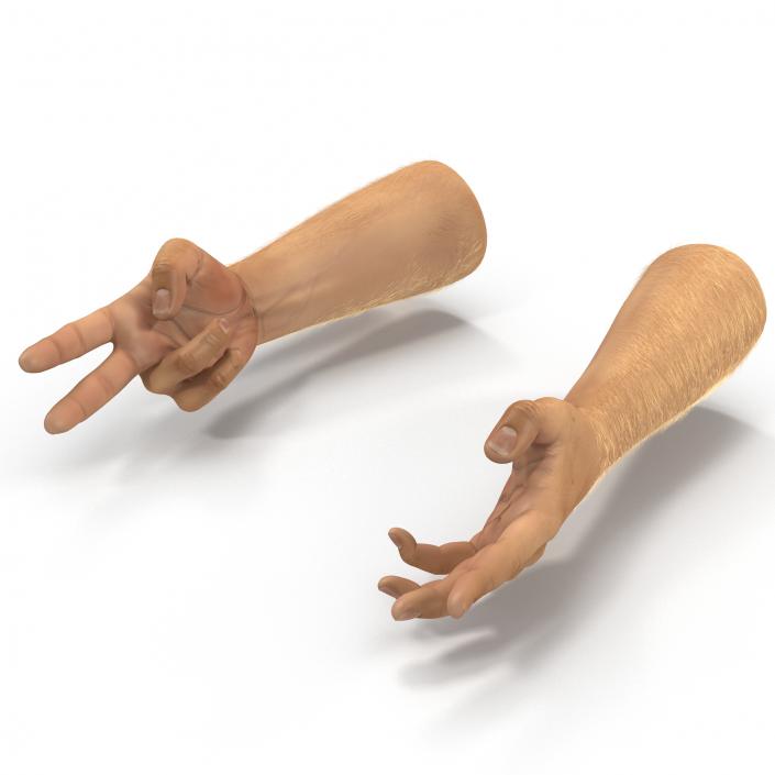 Man Hands 2 with Fur Rigged 3D