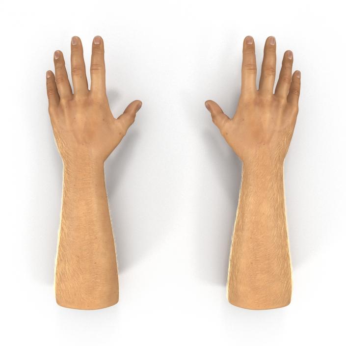 Man Hands 2 with Fur Rigged 3D