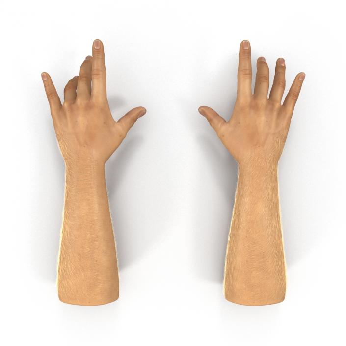 Man Hands 2 with Fur Rigged 3D