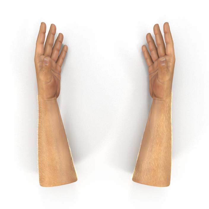 Man Hands 2 with Fur Rigged 3D