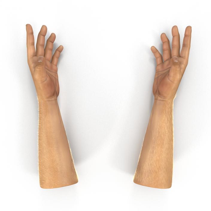 Man Hands 2 with Fur Rigged 3D