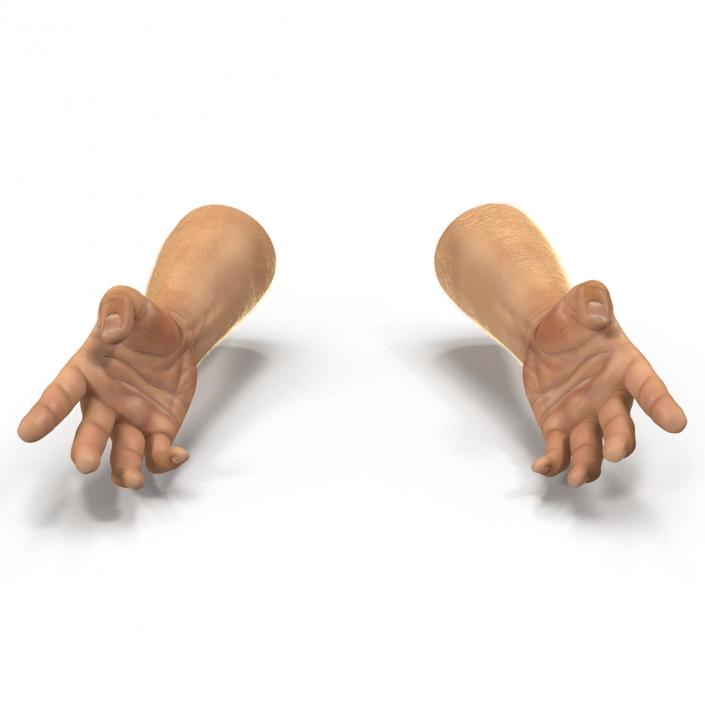 Man Hands 2 with Fur Rigged 3D