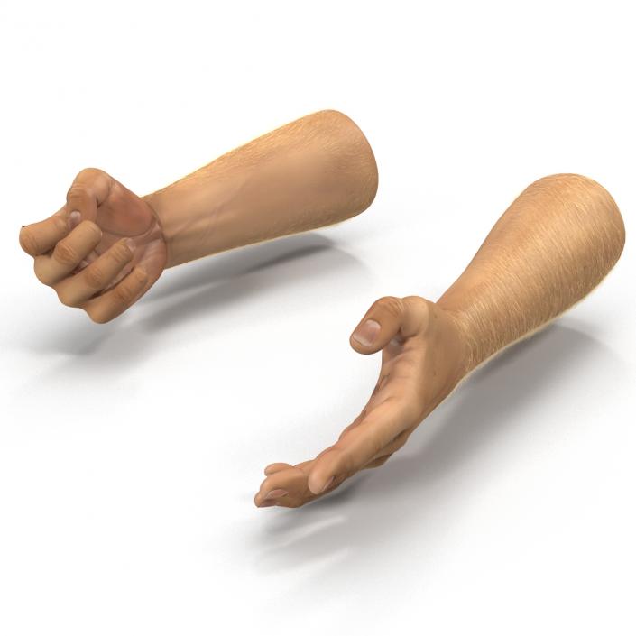 Man Hands 2 with Fur Rigged 3D