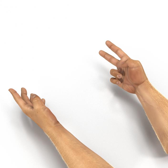 Man Hands 2 with Fur Rigged 3D