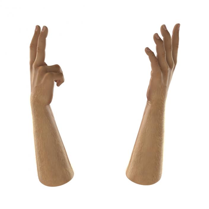 Man Hands 2 with Fur Rigged 3D