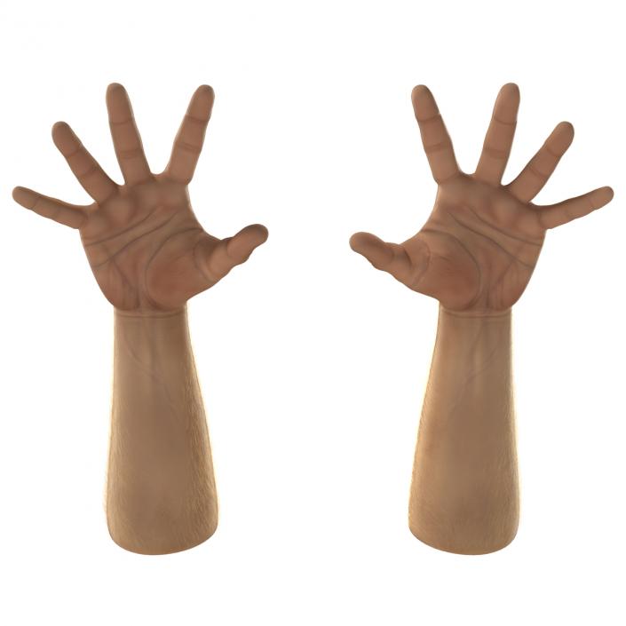 Man Hands 2 with Fur Rigged 3D